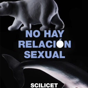 No hay relación sexual. Scilicet 2026