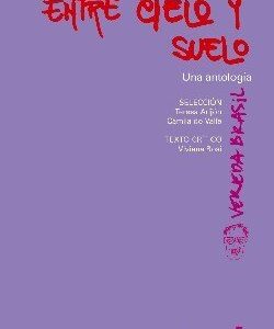 Entre cielo y suelo. Una antología