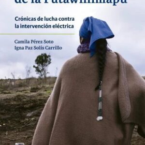 Guardianas de la Futawillimapu. Crónicas de lucha contra la intervención eléctrica