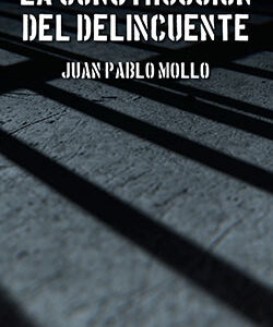 La construcción del delincuente