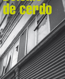 Bolsillo de cerdo