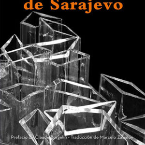 _El atentado de Sarajevo