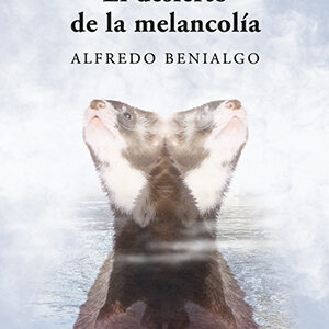 El desierto de la melancolía
